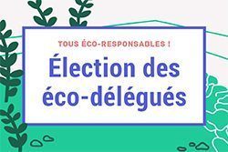 Actualités Développement durable